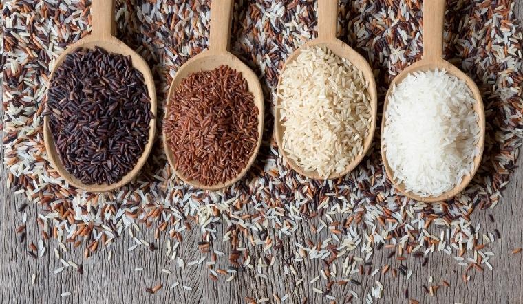 Giá lúa gạo hôm nay 08/8/2022: Tăng giảm trái chiều 100 đồng/kg