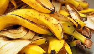 Tận dụng vỏ chuối bỏ đi làm tinh dầu chuối đơn giản, tiết kiệm