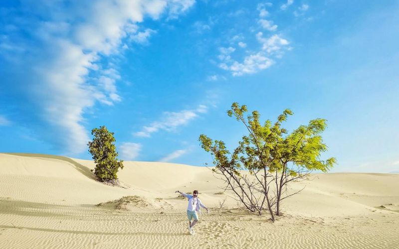 Tham quan khung cảnh đồi cát hoang sơ