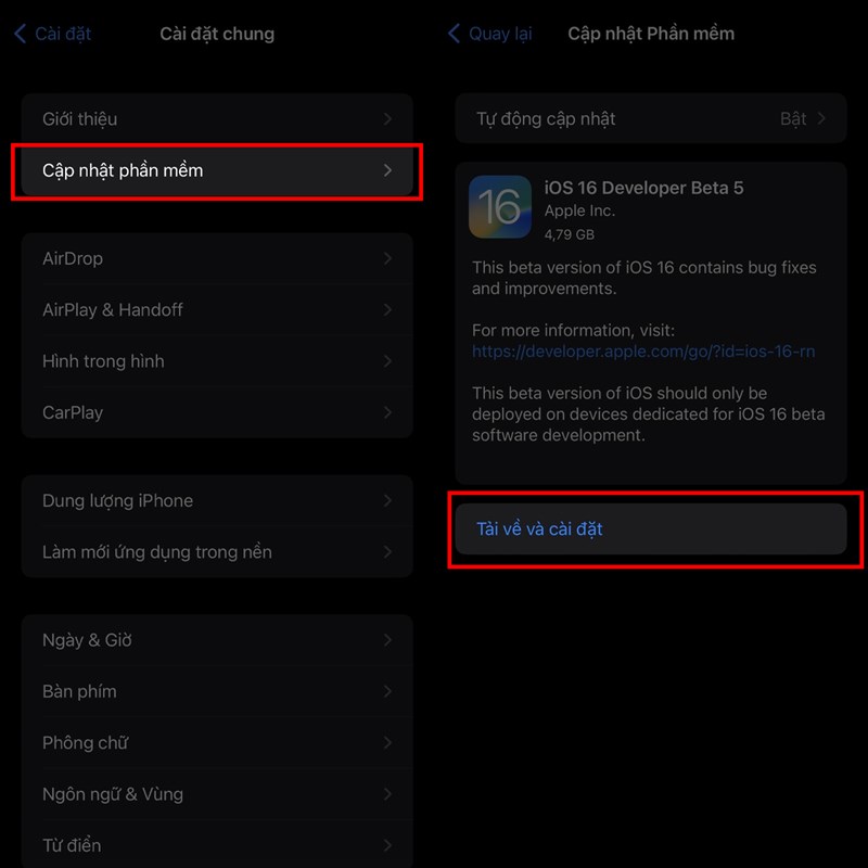 Cách cập nhật iOS 16 beta 5