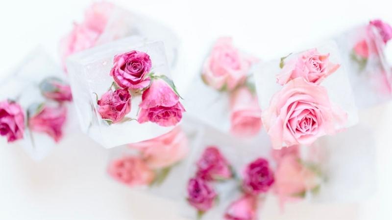 How to make rose ice cubes for skincare