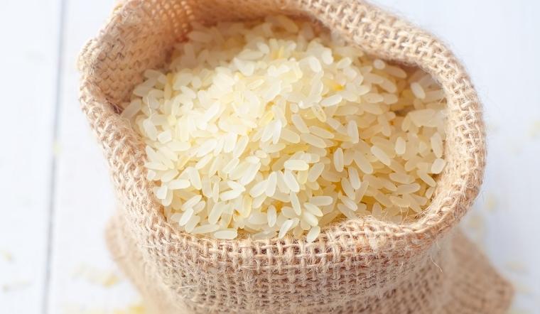 Giá lúa gạo hôm nay 10/8/2022: Nhiều giống lúa tăng đến 100 đồng/kg
