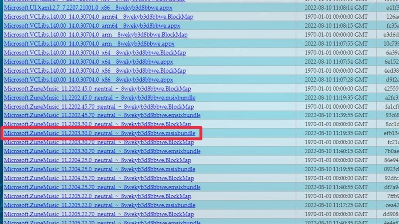 Cách cài đặt Windows Media Player phiên bản mới trên Windows 11