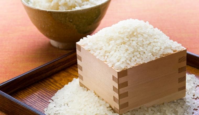Giá lúa gạo hôm nay 12/8/2022: Đi ngang trong ngày cuối tuần