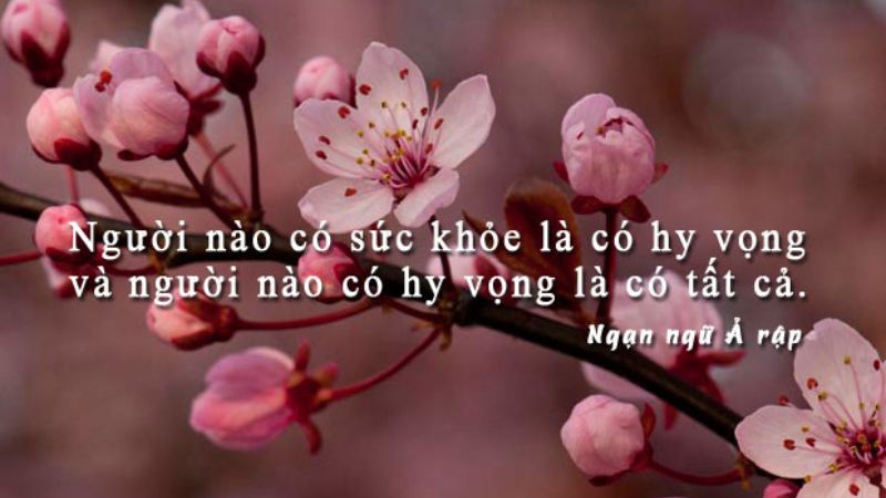 Có sức khỏe là có hy vọng