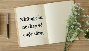 Những câu nói hay về cuộc sống ý nghĩa, giúp tâm trạng tốt hơn