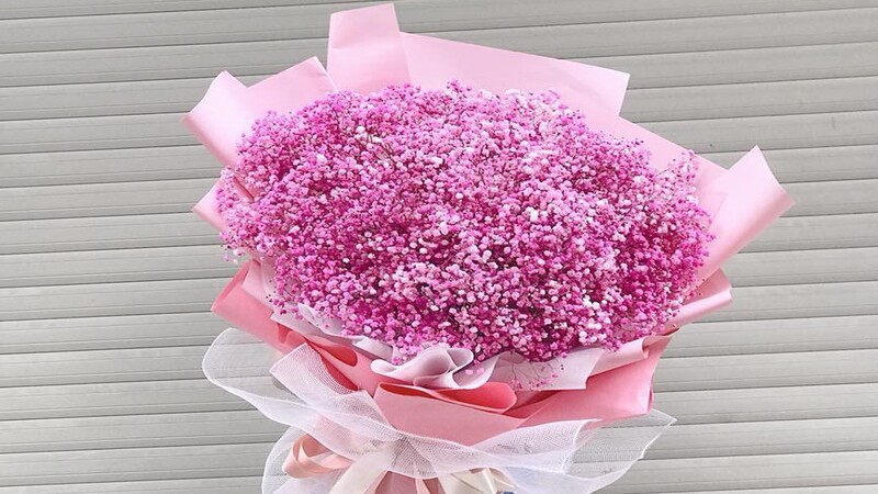 Bó hoa baby khô màu hồng khổng lồ