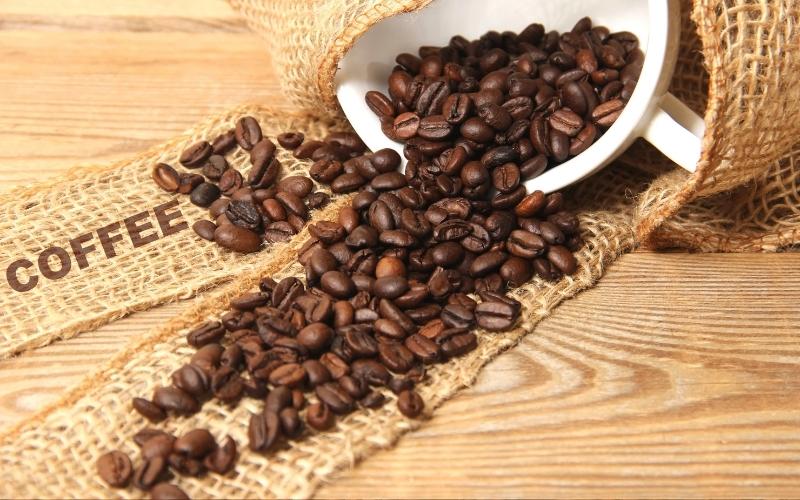 Giá cà phê trong nước hôm nay