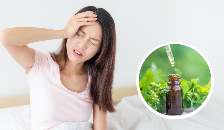 Tổng hợp 5 cách chữa đau nửa đầu từ dầu bạc hà hiệu quả