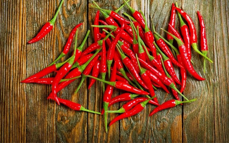 Giá ớt hôm nay 13/08/2022 mới nhất