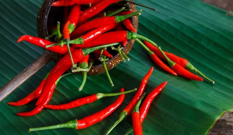 Giá ớt hôm nay 13/08/2022: Không có biến động gì nhiều so với hôm qua