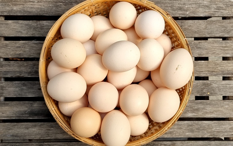 Giá trứng gà hôm nay 15/08