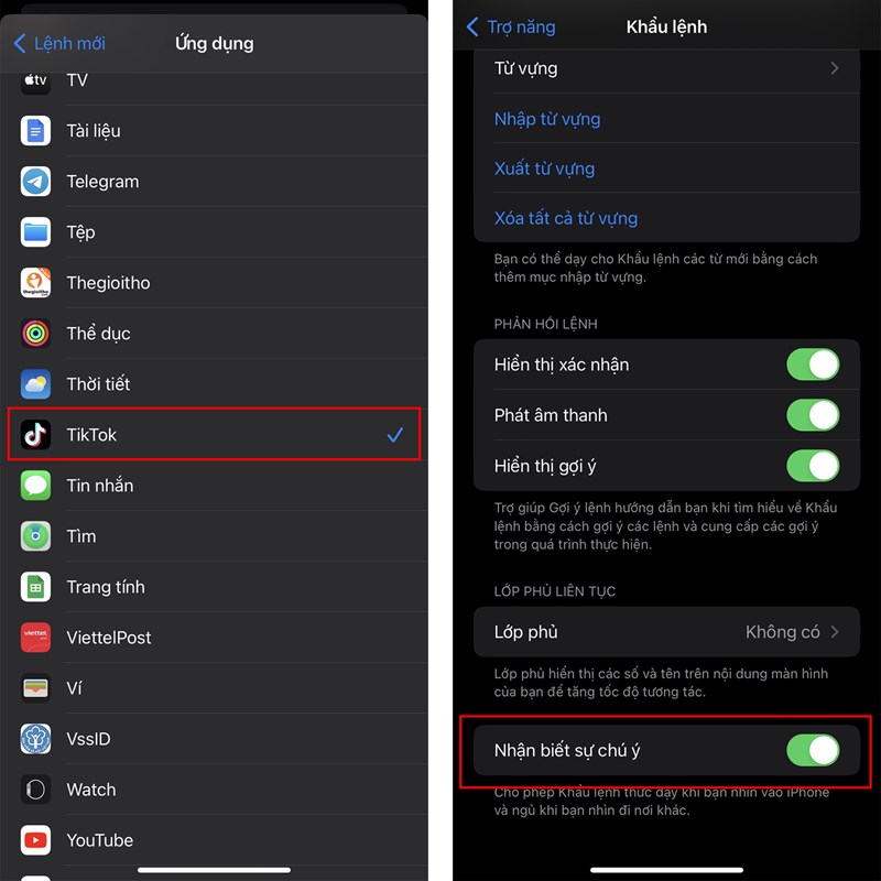 Cách lướt TikTok bằng giọng nói trên iPhone