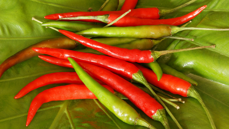 Giá ớt hôm nay 15/08/2022 mới nhất