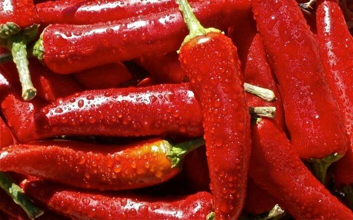 Giá ớt hôm nay 15/08/2022: Ớt xuất khẩu giảm 1000 - 5000 đồng trên cả nước