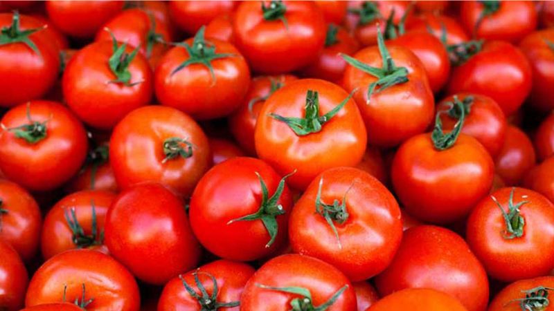 Lycopene có trong cà chua giúp sản xuất tinh trùng khỏe mạnh hơn và giảm nguy cơ ung thư tuyến tiền liệt