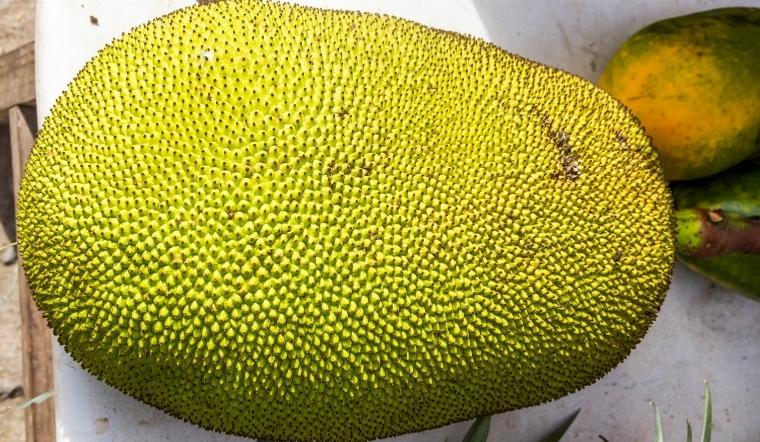 Giá mít Thái hôm nay 15/08/2022: Giá mít tiếp tục tăng thêm 1.000đ/kg