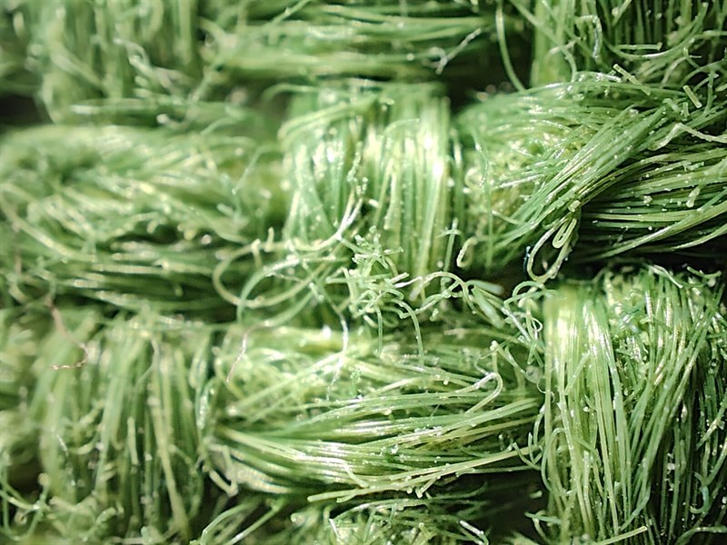 Ảnh chụp bằng camera hiển vi của Realme GT2 Master Explorer