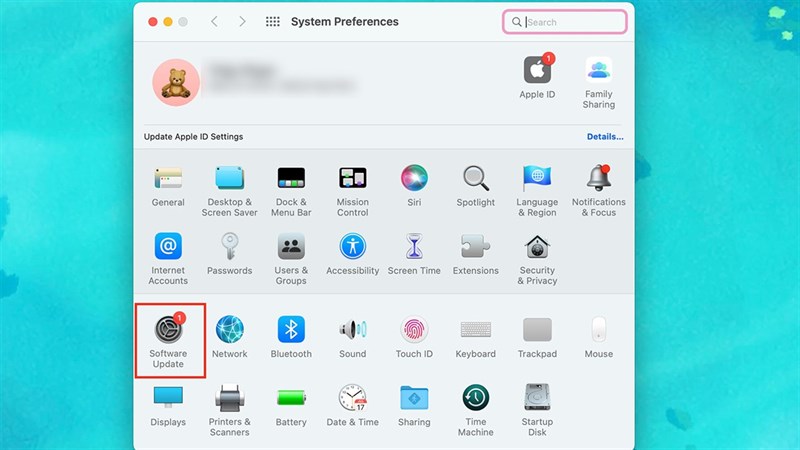 Cách cập nhật Safari trên MacBook