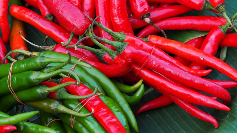 Giá ớt hôm nay 17/08/2022 mới nhất