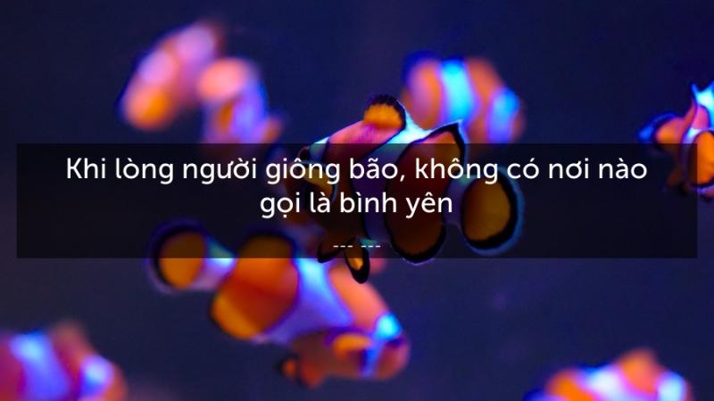 Những câu nói hay về cuộc sống bình yên