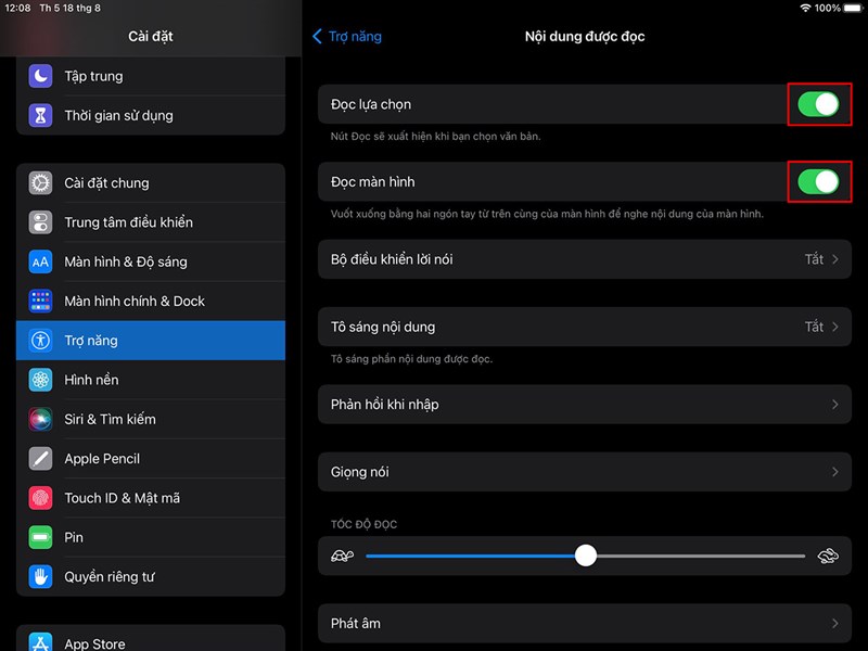 Cách cài đặt tự động đọc văn bản trên màn hình iPad Cách cài đặt tự động đọc văn bản trên màn hình iPad