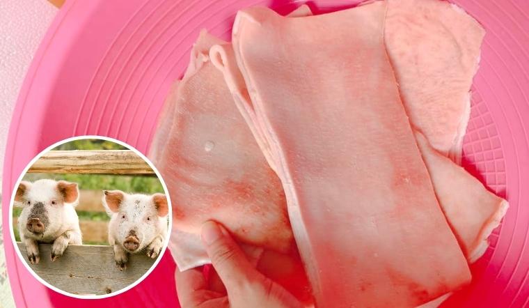 Ở lợn có 1 thứ giúp bổ máu, tốt cho tim mạch mà nhiều người hay bỏ đi