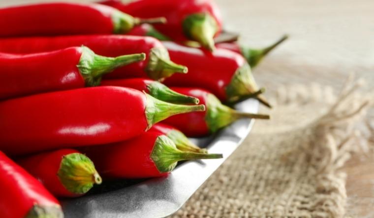 Giá ớt hôm nay 18/08/2022: Giá ớt xuất khẩu tăng nhẹ 2000 đồng