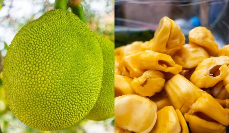 Giá mít Thái hôm nay 19/08/2022: Giá không đổi sau hai ngày tăng 