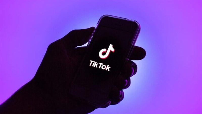 TikTok theo dõi người dùng trong trình duyệt tích hợp