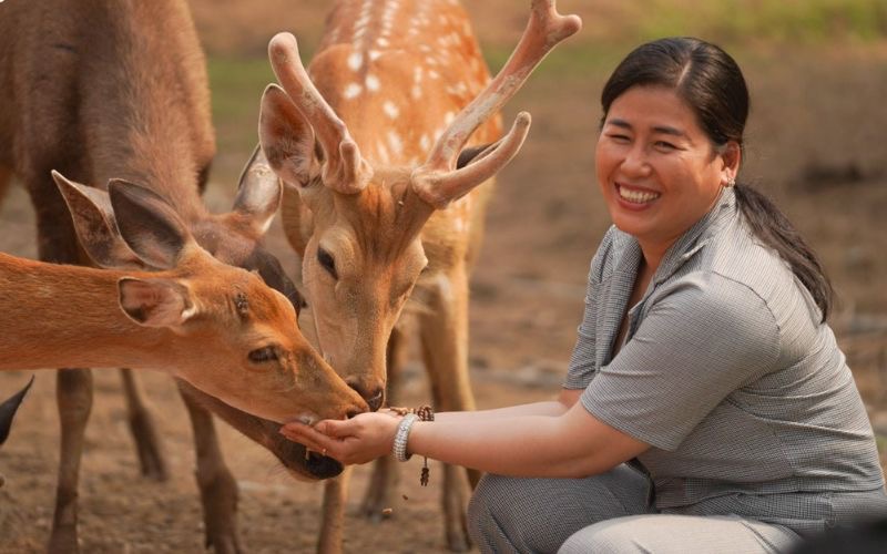 Tham quan vườn thú hoang dã và bán hoang dã