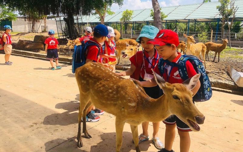 Những lưu ý khi tham quan sở thú Mỹ Quỳnh Safari