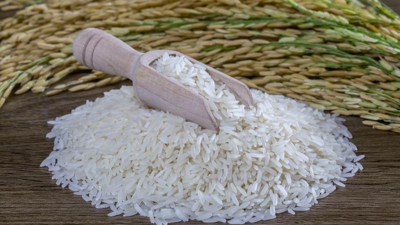 Giá gạo hôm nay 20/8 Giá gạo hôm nay 20/8