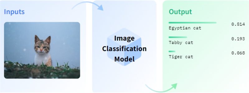 Bài test Image Classification