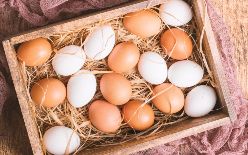 Giá trứng gà hôm nay 23/08