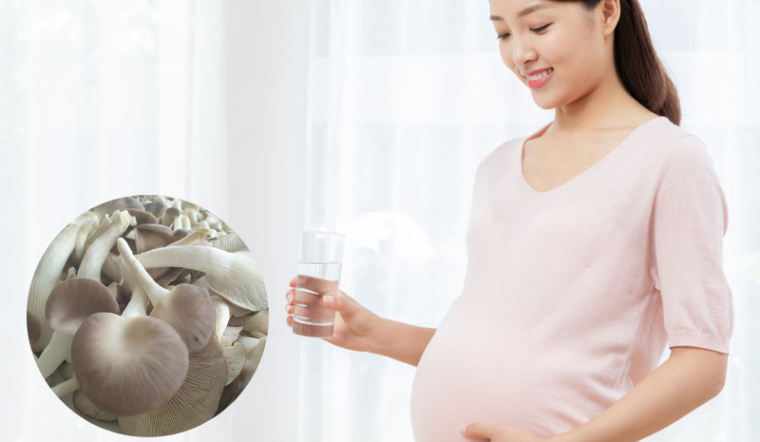 Phụ nữ mang thai có nên ăn nấm bào ngư không?