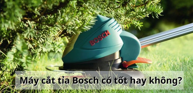 Máy cắt tỉa Bosch là thương hiệu của nước nào? Có tốt hay không?
