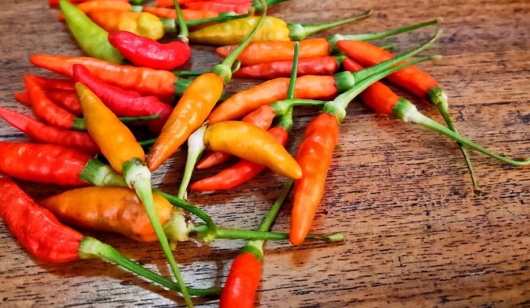 Giá ớt hôm nay 23/08/2022: Không ghi nhận sự biến động