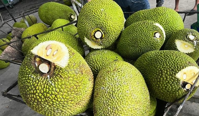 Giá mít Thái hôm nay 24/08/2022: Giá mít tương đương hôm qua