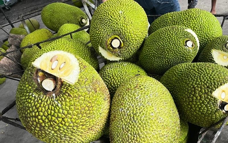 Giá mít Thái hôm nay 24/08/2022