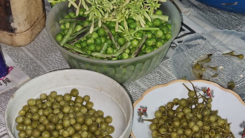 Wild tomatoes dipped in salt or mixed with lime leaves and soup powder