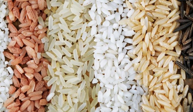 Giá lúa gạo hôm nay 25/8/2022: Duy trì giữ giá ở mức ổn định