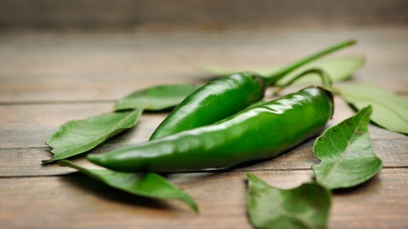 Giá ớt hôm nay 25/08/2022 mới nhất