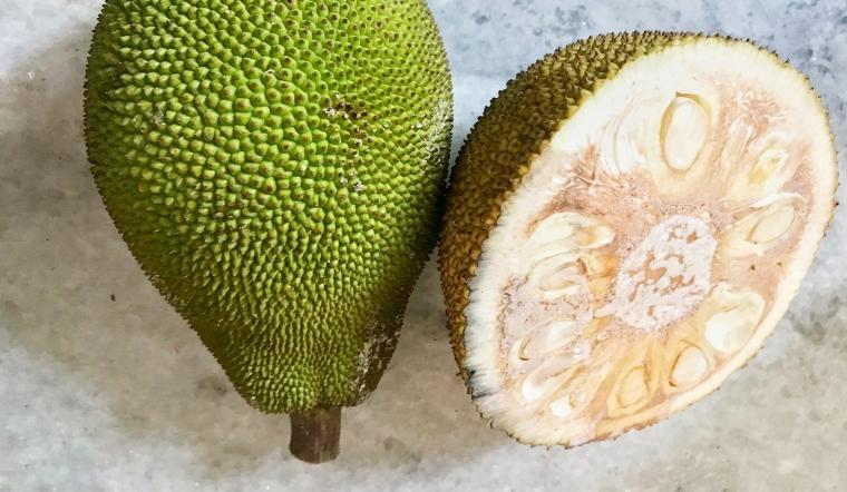 Giá mít Thái hôm nay 25/08/2022: Giá không đổi so với hôm qua