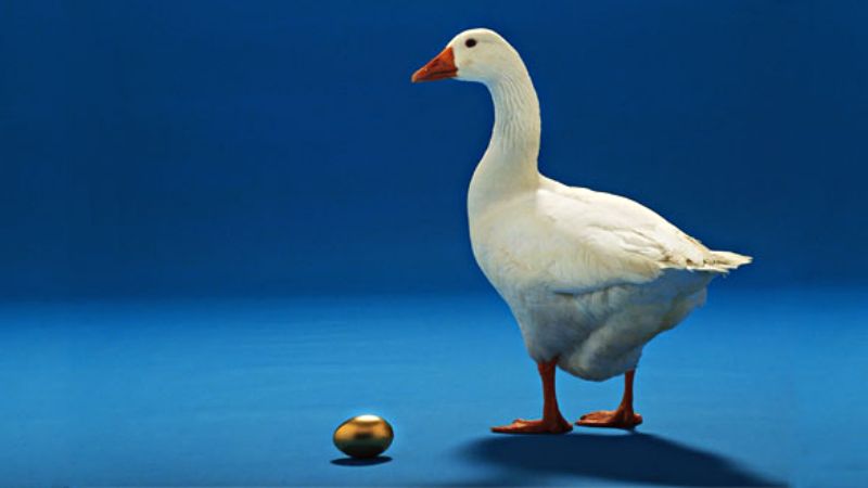 The Goose with the Golden Egg