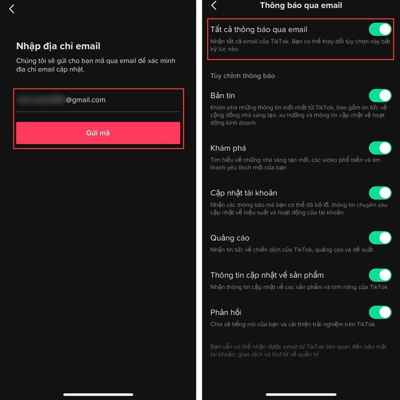 Cách nhận thông báo TikTok qua email 
