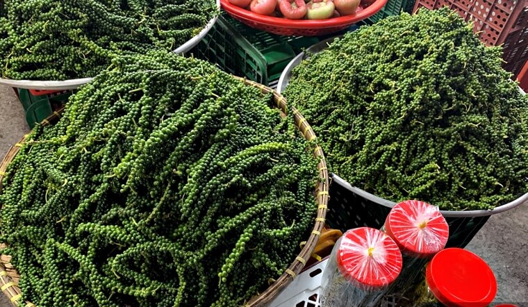 Giá tiêu hôm nay 27/8/2022: Giảm 500 đồng/kg, dao động 66.500-70.500 đồng/kg