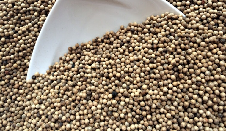 Giá tiêu hôm nay 29/8/2022: Ổn định, dao động 66.500-70.500 đồng/kg