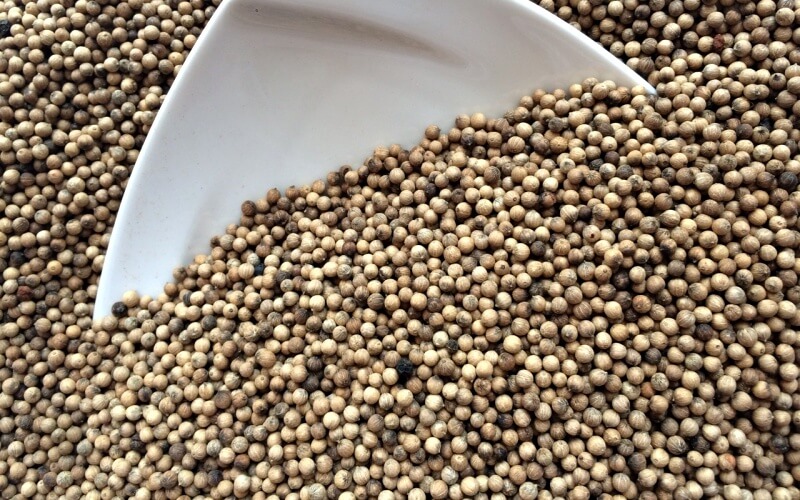 Giá tiêu thế giới