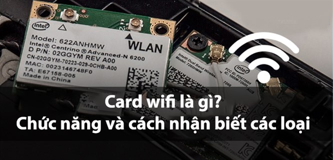 Card wifi là gì? Chức năng và cách nhận biết các loại card wifi